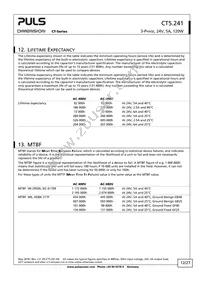 CT5.241 Datasheet Page 12