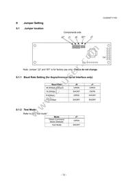 CU20027-Y100 Datasheet Page 13