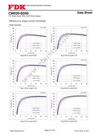 CW020-SD00 Datasheet Page 21