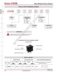 CWSB21DADF Datasheet Page 3