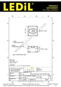 CX11354_LAURA-M Datasheet Page 2