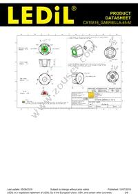 CX15818_GABRIELLA-45-M Datasheet Page 2