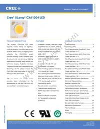CXA1304-0000-000C00B430G Datasheet Cover