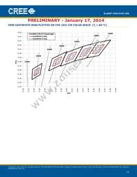 CXA1310-0000-000F0UH450H Datasheet Page 14