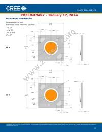 CXA1310-0000-000F0UH450H Datasheet Page 17