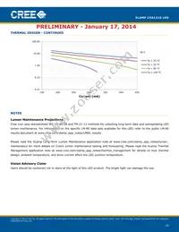 CXA1310-0000-000F0UH450H Datasheet Page 19