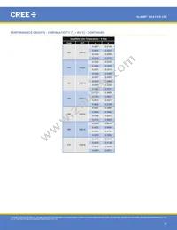 CXA1310-0000-000N0YG435G Datasheet Page 16