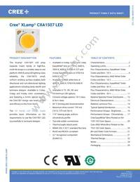 CXA1507-0000-000F0UE250F Datasheet Cover