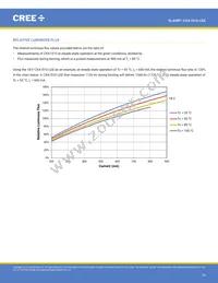 CXA1510-0000-000N0YG235F Datasheet Page 16