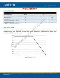 CXA1850-0000-000N00U430F Datasheet Page 2