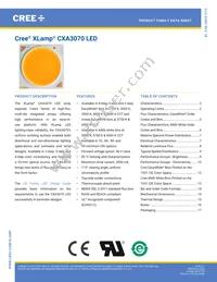 CXA3070-0000-000N0YY230G Datasheet Cover