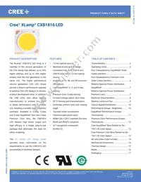 CXB1816-0000-000N0UQ240H Datasheet Cover
