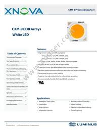 CXM-9-30-80-18-AC00-F2-2 Datasheet Cover
