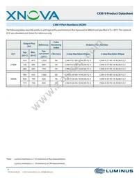 CXM-9-30-80-18-AC00-F2-2 Datasheet Page 6