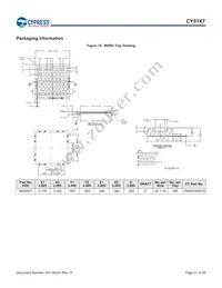 CY5137-1X07I Datasheet Page 21