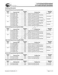 CY7C024AV-15AXI Datasheet Page 17