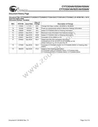 CY7C024AV-15AXI Datasheet Page 19