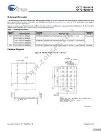 CY7C1320JV18-250BZXI Datasheet Page 23