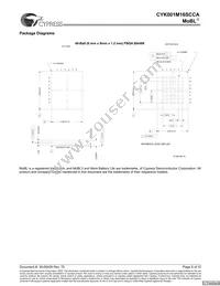 CYK001M16SCAU-70BAXI Datasheet Page 9