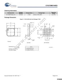 CYV270M0104EQ-LXC Datasheet Page 8