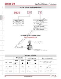 DB2521V Datasheet Page 3