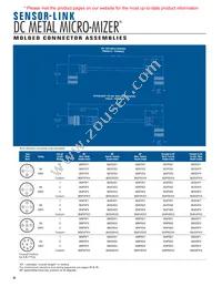 DB40S4SS4P3-12 Datasheet Page 20