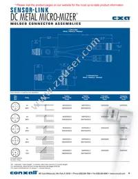 DB40S4SS4P3-12 Datasheet Page 21