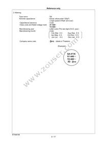 DE21XSA470KN3AY02F Datasheet Page 7