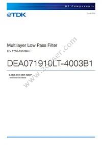 DEA071910LT-4003B1 Datasheet Cover