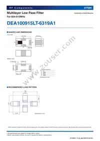 DEA100915LT-6319A1 Datasheet Page 2