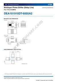 DEA101910DT-6005A2 Datasheet Page 2