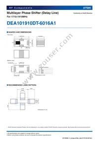 DEA101910DT-6016A1 Datasheet Page 2