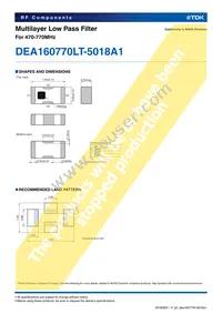 DEA160770LT-5018A1 Datasheet Page 2