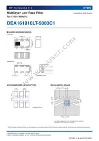 DEA161910LT-5003C1 Datasheet Page 2