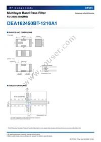 DEA162450BT-1210A1 Datasheet Page 2