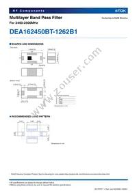 DEA162450BT-1262B1 Datasheet Page 2