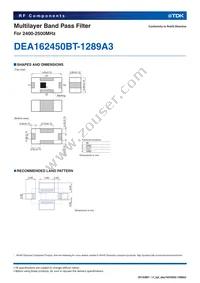 DEA162450BT-1289A3 Datasheet Page 2