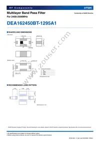 DEA162450BT-1295A1 Datasheet Page 2