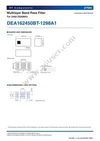 DEA162450BT-1298A1 Datasheet Page 2