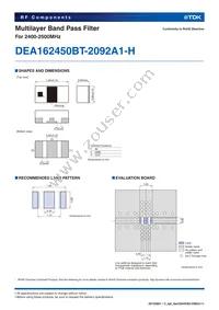 DEA162450BT-2092A1-H Datasheet Page 2