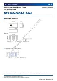 DEA162450BT-2174A1 Datasheet Page 2