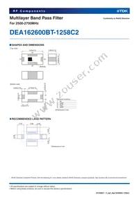DEA162600BT-1258C2 Datasheet Page 2