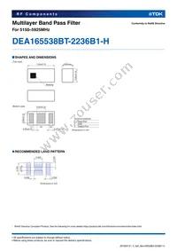 DEA165538BT-2236B1-H Datasheet Page 2
