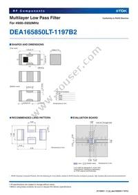 DEA165850LT-1197B2 Datasheet Page 2