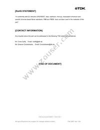 DEA202450BT-7041E1 Datasheet Page 5