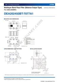 DEA202450BT-7077A1 Datasheet Page 2