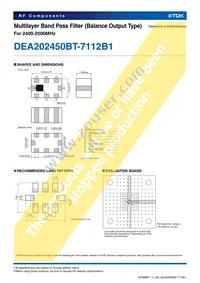 DEA202450BT-7112B1 Datasheet Page 2