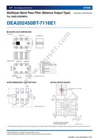 DEA202450BT-7116E1 Datasheet Page 2