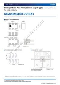 DEA202450BT-7210A1 Datasheet Page 2