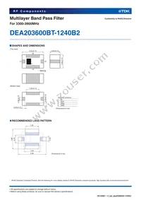 DEA203600BT-1240B2 Datasheet Page 2